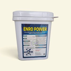 ENRO POWER