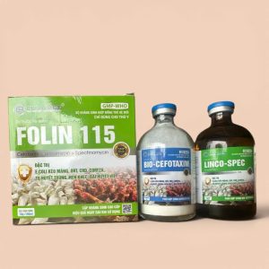 CẶP TIÊM VỊT. CEFO VÀ LINCO