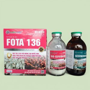FOTA 136 ( CẶP TIÊM VỊT)