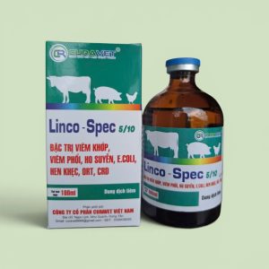 LINCO-SPEC
