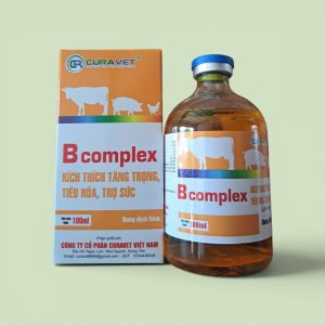 B COMPLEX