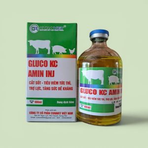 GLUCO K + C