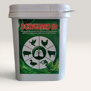 DOXY Guard 50